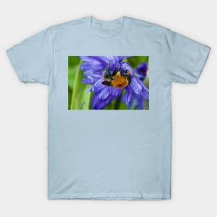 Bumbling along and hanging on T-Shirt